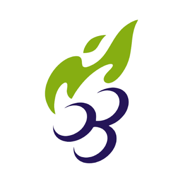 Logo Escola Videira